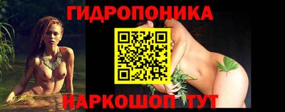 spice Заводоуковск