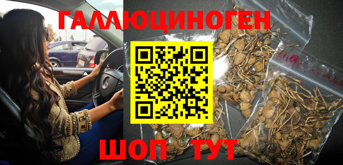 Галлюциногенные грибы GOLDEN TEACHER Лыткарино