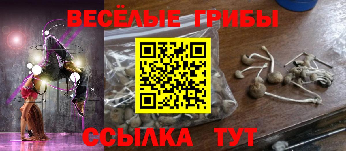 Галлюциногенные грибы Cubensis  где купить наркотик  Вход с VPN  Лыткарино  Галлюциногенные грибы мухоморы 